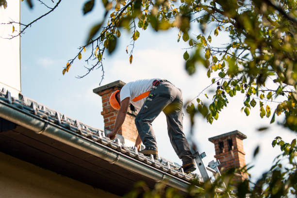 Best Sheet Metal Roofing  in Canaan, CT