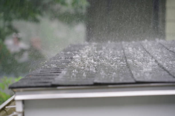Best Roof Insulation Installation  in Canaan, CT